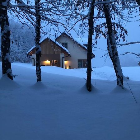 Loft Naturalpina Dolomiti Farm Belluno Zewnętrze zdjęcie