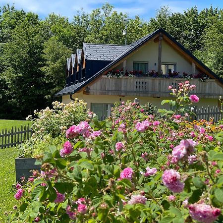 Loft Naturalpina Dolomiti Farm Belluno Zewnętrze zdjęcie