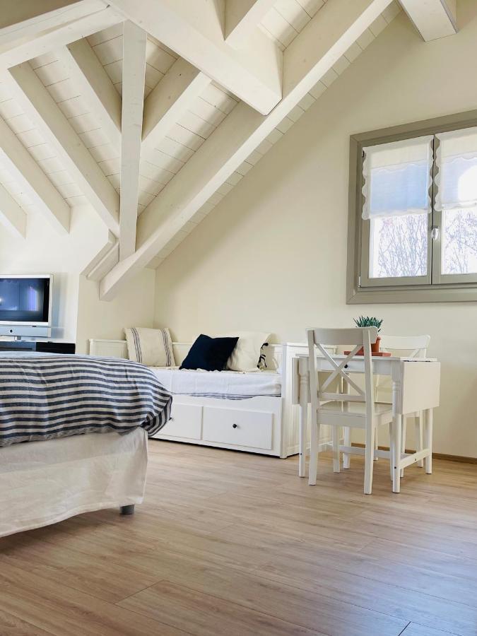 Loft Naturalpina Dolomiti Farm Belluno Zewnętrze zdjęcie