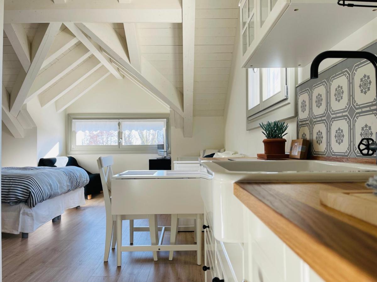 Loft Naturalpina Dolomiti Farm Belluno Zewnętrze zdjęcie