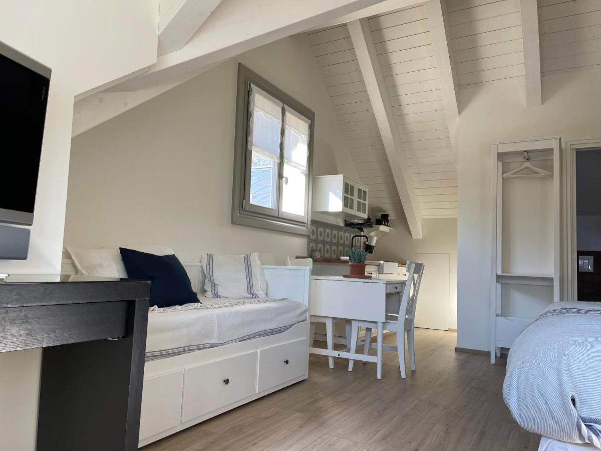 Loft Naturalpina Dolomiti Farm Belluno Zewnętrze zdjęcie