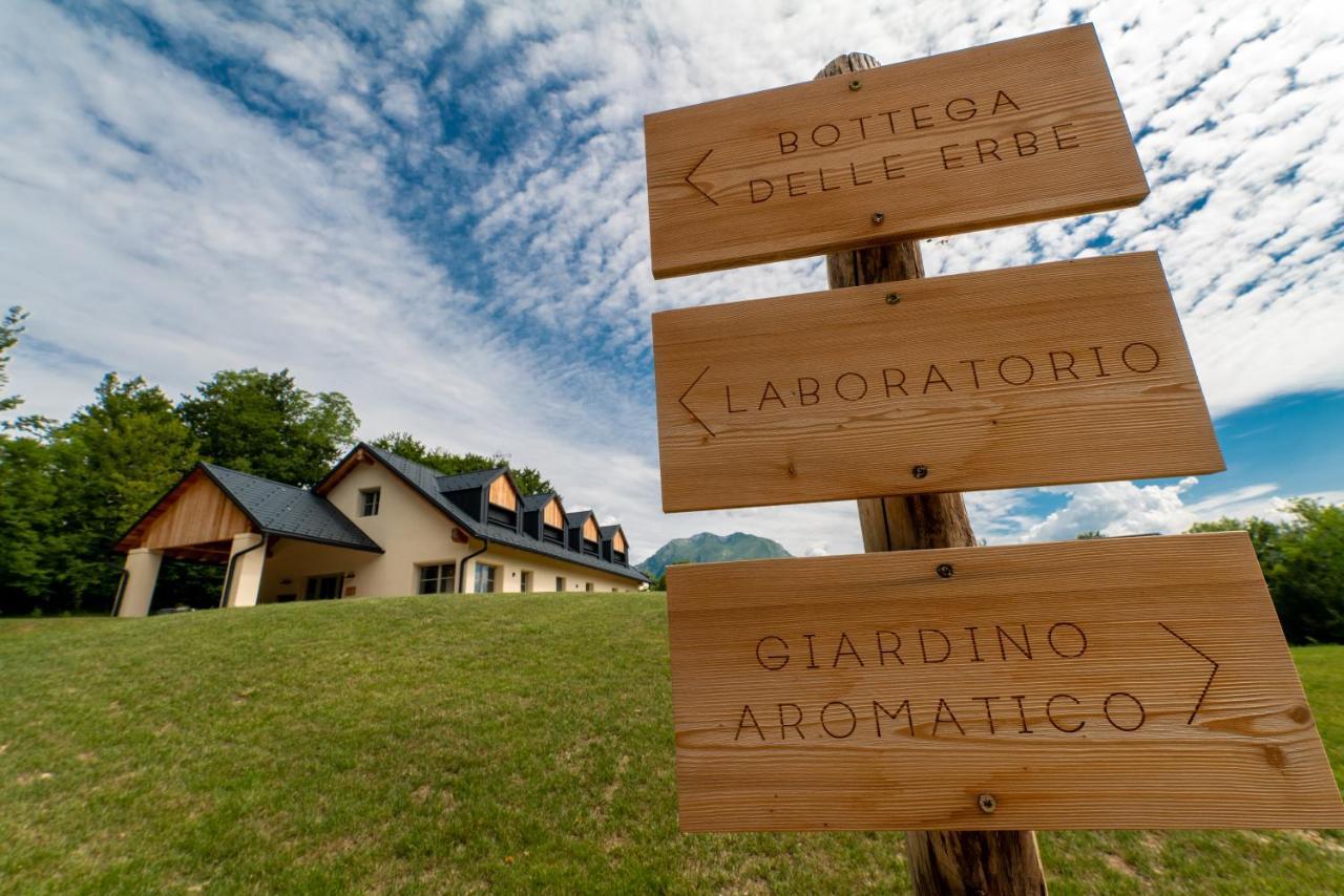 Loft Naturalpina Dolomiti Farm Belluno Zewnętrze zdjęcie