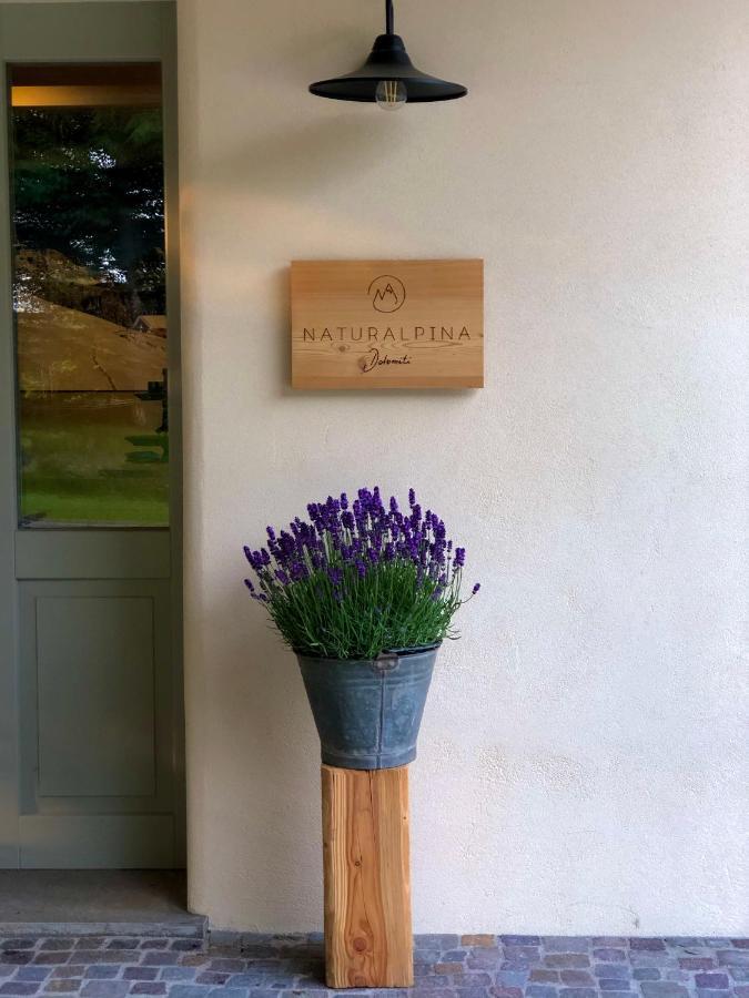 Loft Naturalpina Dolomiti Farm Belluno Zewnętrze zdjęcie